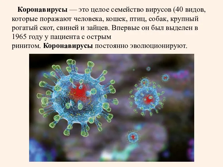 Коронавирусы — это целое семейство вирусов (40 видов, которые поражают человека,