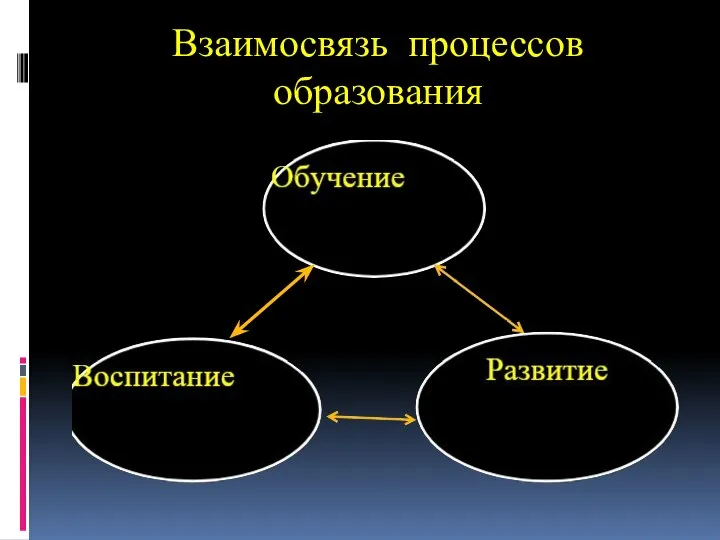 Взаимосвязь процессов образования