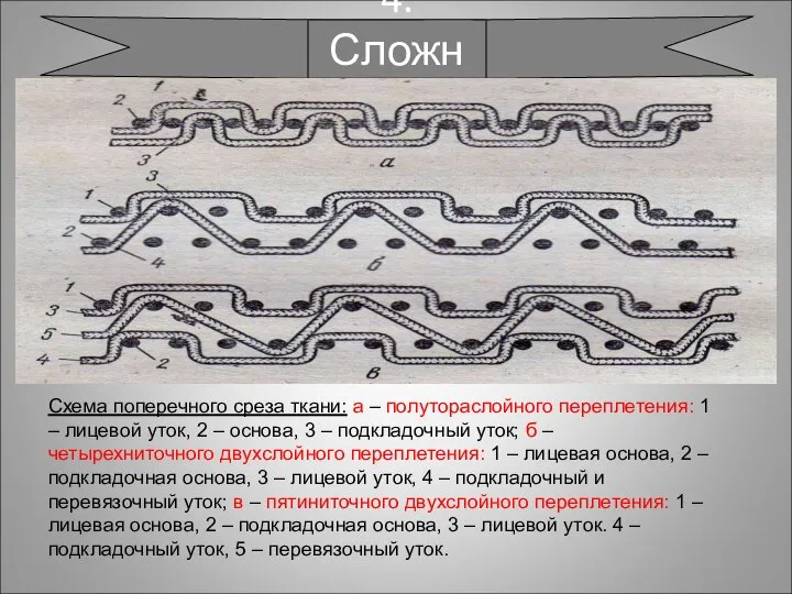 4. Сложные Схема поперечного среза ткани: а – полутораслойного переплетения: 1