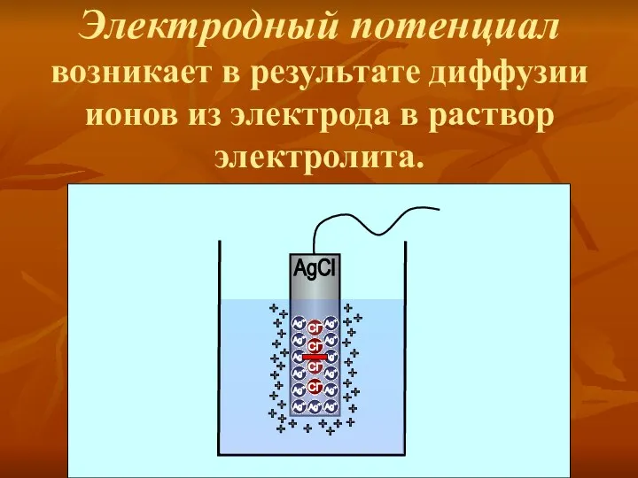 Электродный потенциал возникает в результате диффузии ионов из электрода в раствор