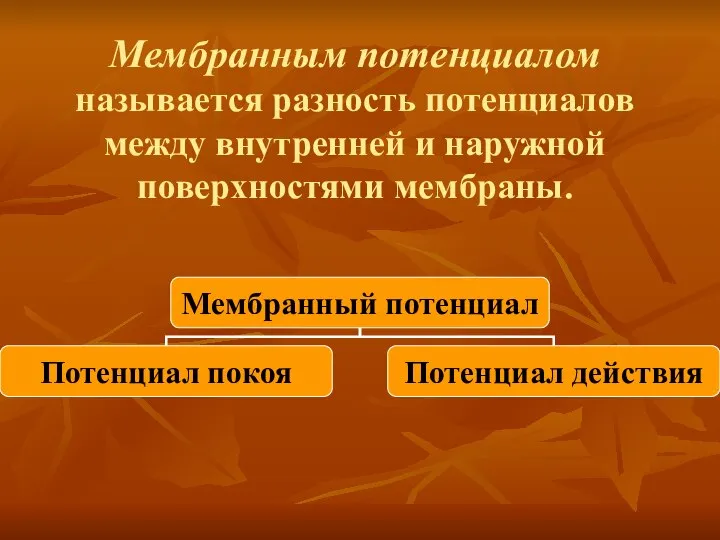 Мембранным потенциалом называется разность потенциалов между внутренней и наружной поверхностями мембраны.