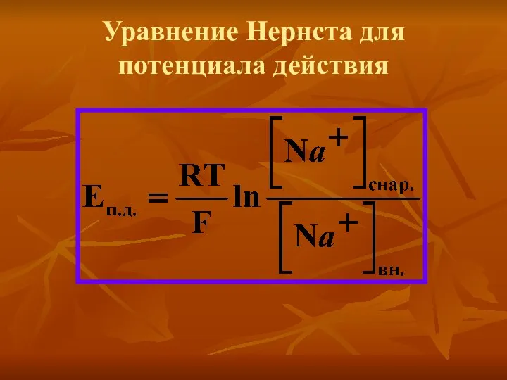 Уравнение Нернста для потенциала действия