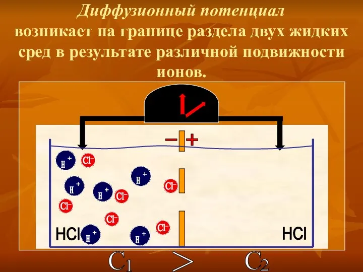 Диффузионный потенциал возникает на границе раздела двух жидких сред в результате