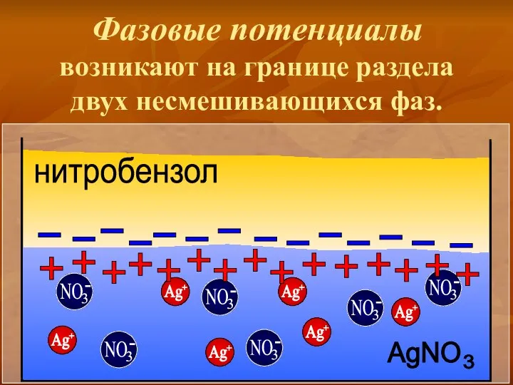 Фазовые потенциалы возникают на границе раздела двух несмешивающихся фаз. нитробензол +