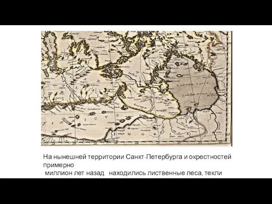 На нынешней территории Санкт-Петербурга и окрестностей примерно миллион лет назад находились лиственные леса, текли полноводные реки.