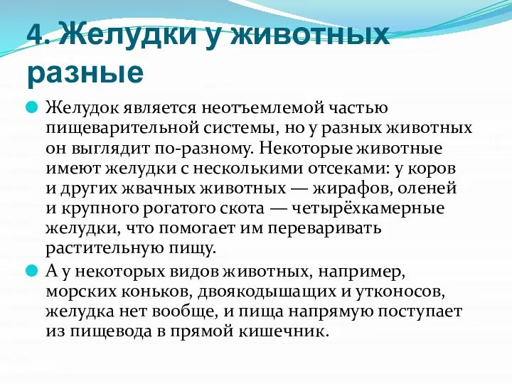 4. Желудки у животных разные Желудок является неотъемлемой частью пищеварительной системы,