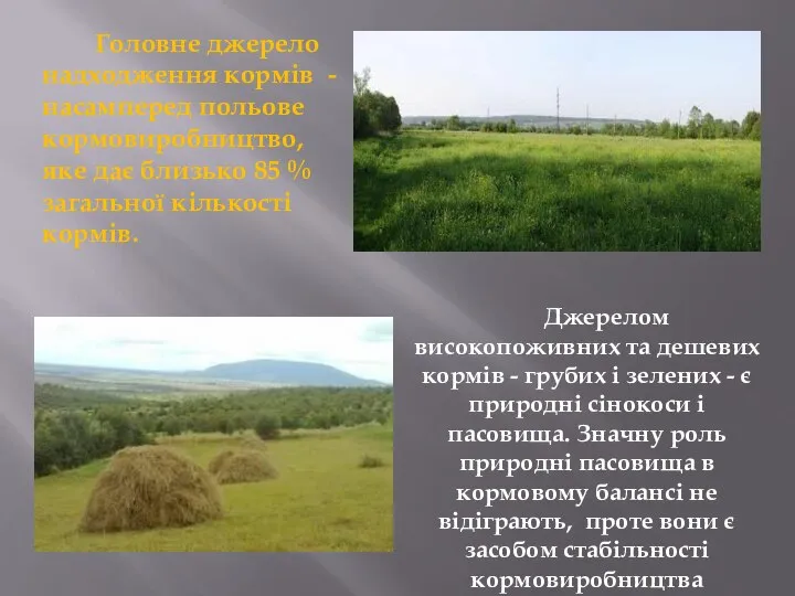 Головне джерело надходження кормів - насамперед польове кормовиробництво, яке дає близько