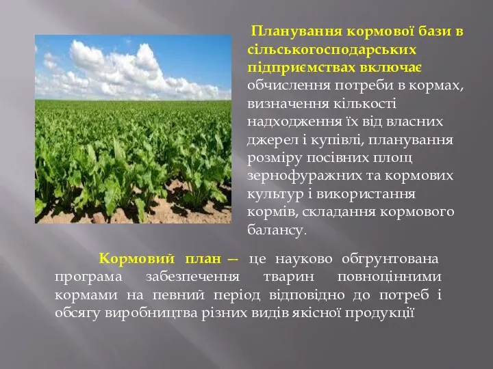 Планування кормової бази в сільськогосподарських підприємствах включає обчислення потреби в кормах,