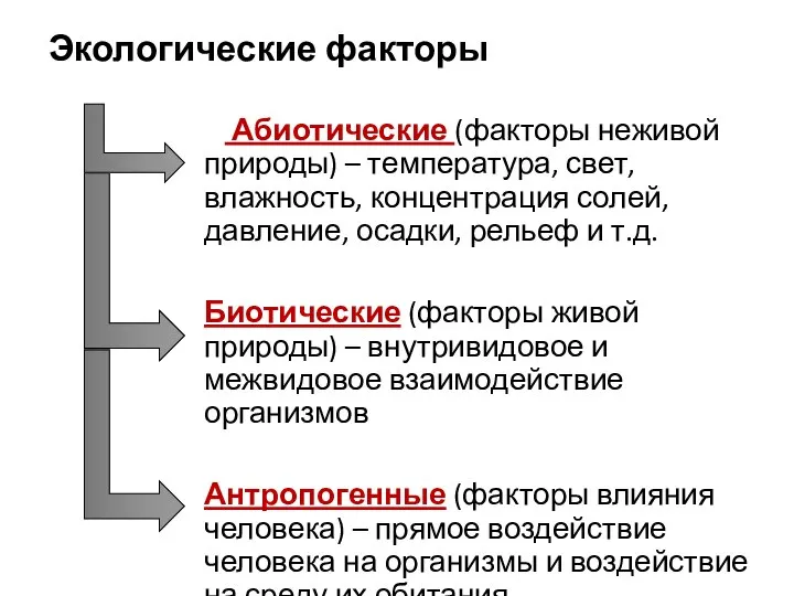 Экологические факторы Абиотические (факторы неживой природы) – температура, свет, влажность, концентрация