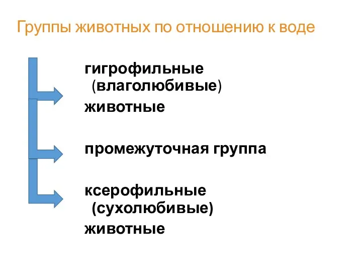 Группы животных по отношению к воде гигрофильные (влаголюбивые) животные промежуточная группа ксерофильные (сухолюбивые) животные