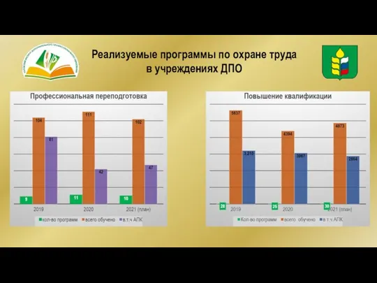 Реализуемые программы по охране труда в учреждениях ДПО