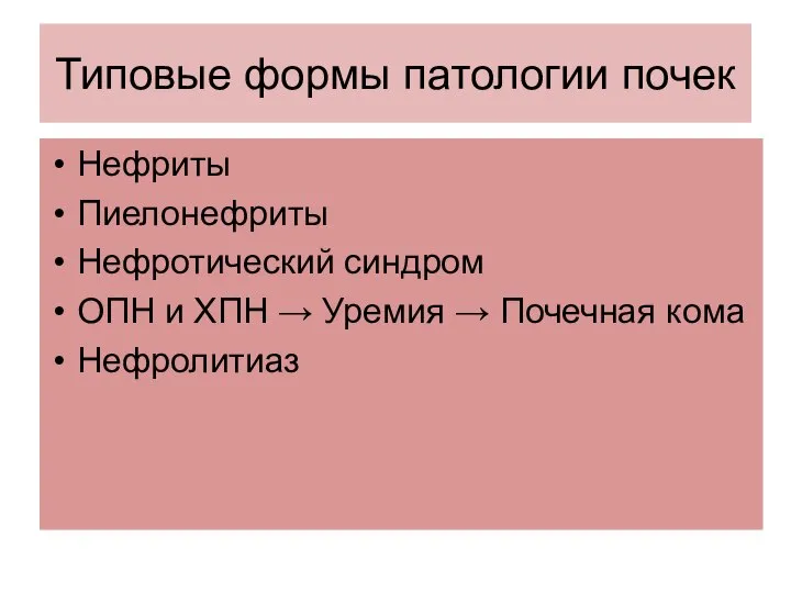 Типовые формы патологии почек Нефриты Пиелонефриты Нефротический синдром ОПН и ХПН