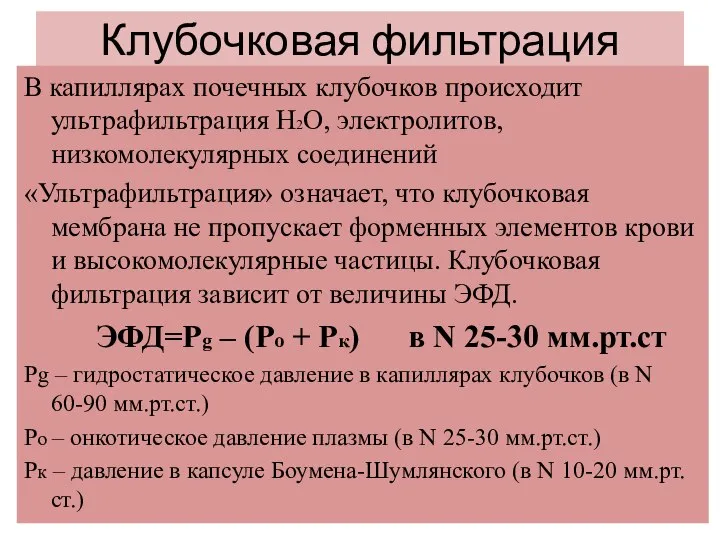 Клубочковая фильтрация В капиллярах почечных клубочков происходит ультрафильтрация Н2О, электролитов, низкомолекулярных