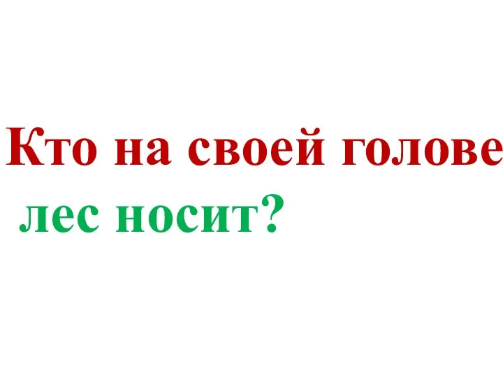 Кто на своей голове лес носит?