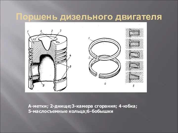 Поршень дизельного двигателя А-метки; 2-днище;3-камера сгорания; 4-юбка; 5-маслосъемные кольца;6-бобышки