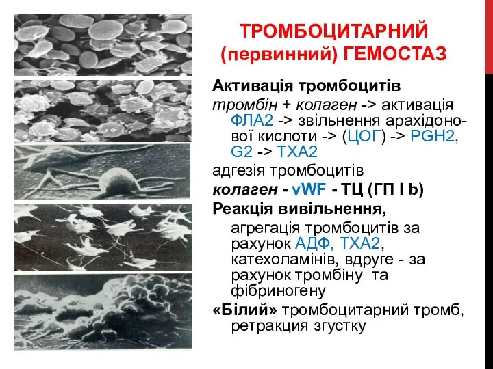 Активація тромбоцитів тромбін + колаген -> активація ФЛА2 -> звільнення арахідоно-вої