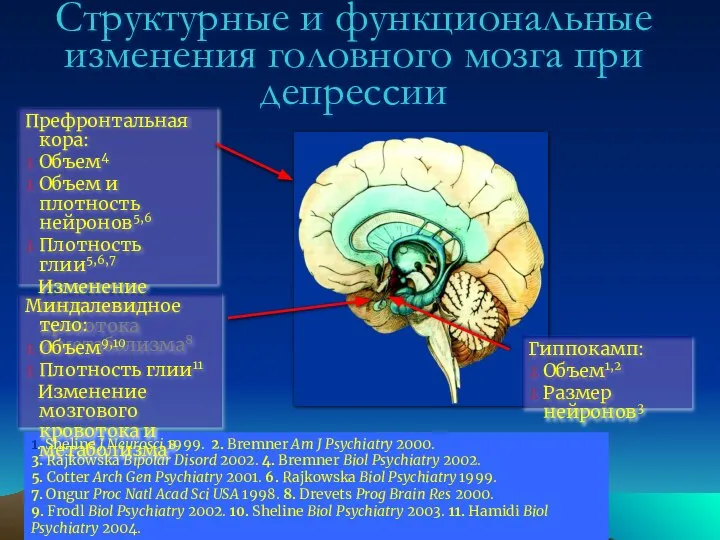 Структурные и функциональные изменения головного мозга при депрессии Префронтальная кора: Объем4