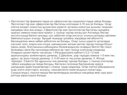 Протопласттар фирмакуттарда ал сферопластар грациликуттарда пайда болады. Протопласттар мен сферопластар бастапқы