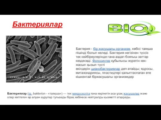 Бактериялар Бактериялар (гр. bakterion - «таяқша») — тек микроскопта ғана көрінетін