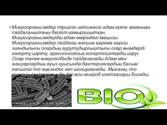 Микроорганизмдер тіршілік нәтижесін адам ерте заманнан пайдаланылғаны белгілі қамырашытқан. Микроорганизмдердің адам