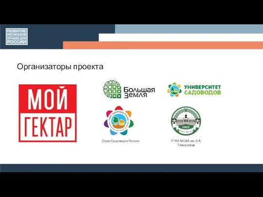 Организаторы проекта