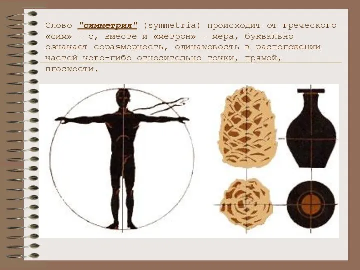 Слово "симметрия" (symmetria) происходит от греческого «сим» - с, вместе и