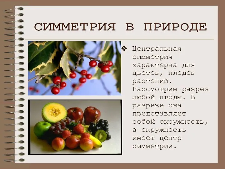 Центральная симметрия характерна для цветов, плодов растений. Рассмотрим разрез любой ягоды.