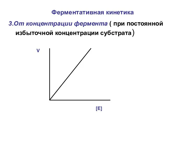 Ферментативная кинетика 3.От концентрации фермента ( при постоянной избыточной концентрации субстрата) [E] V