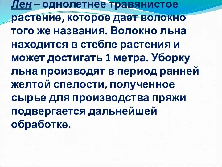 Лен – однолетнее травянистое растение, которое дает волокно того же названия.