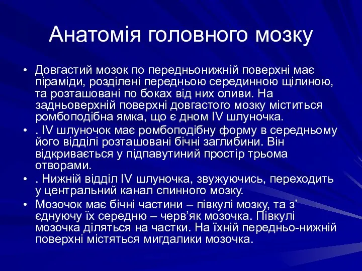 Анатомія головного мозку Довгастий мозок по передньонижній поверхні має піраміди, розділені