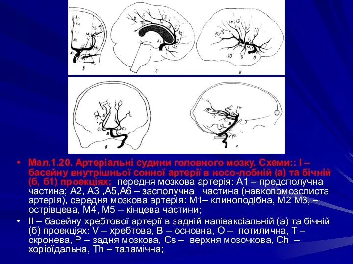 Мал.1.20. Артеріальні судини головного мозку. Схеми:: І – басейну внутрішньої сонної