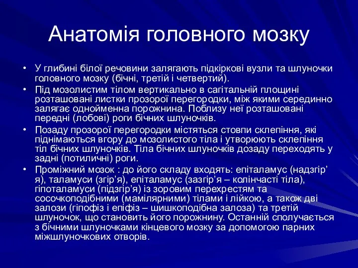 Анатомія головного мозку У глибині білої речовини залягають підкіркові вузли та