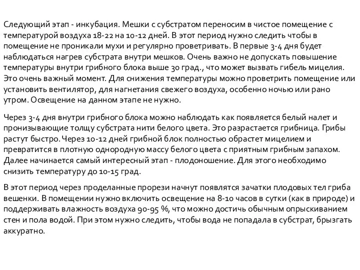 Следующий этап - инкубация. Мешки с субстратом переносим в чистое помещение