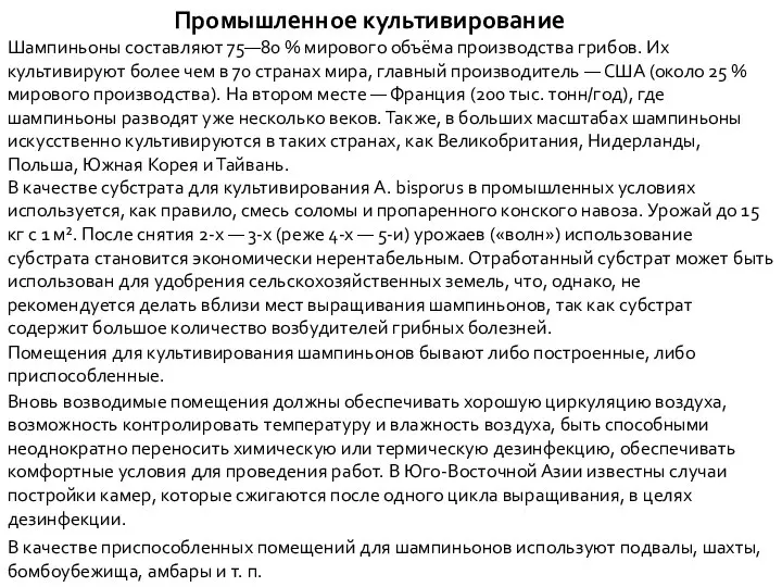 Промышленное культивирование Шампиньоны составляют 75—80 % мирового объёма производства грибов. Их