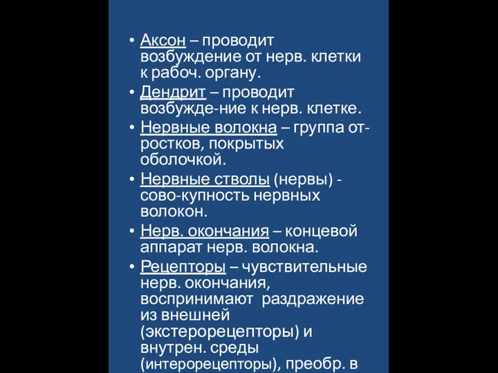 Аксон – проводит возбуждение от нерв. клетки к рабоч. органу. Дендрит