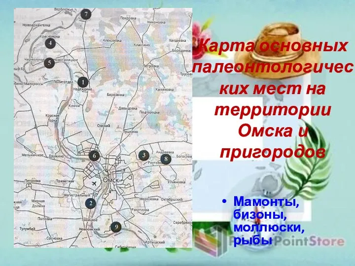 Карта основных палеонтологических мест на территории Омска и пригородов Мамонты, бизоны, моллюски, рыбы