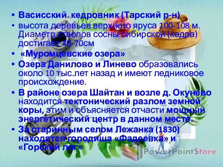 Васисский кедровник (Тарский р-н) высота деревьев верхнего яруса 100-108 м. Диаметр