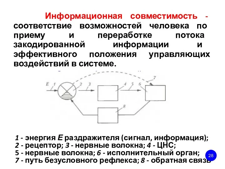 Информационная совместимость - соответствие возможностей человека по приему и переработке потока