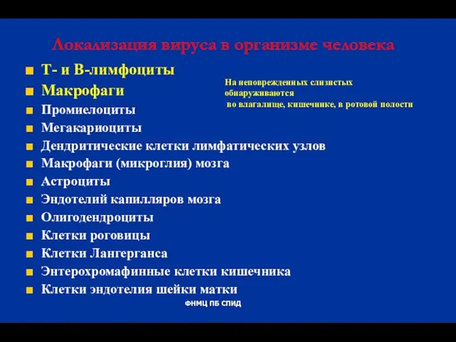 Локализация вируса в организме человека Т- и В-лимфоциты Макрофаги Промиелоциты Мегакариоциты