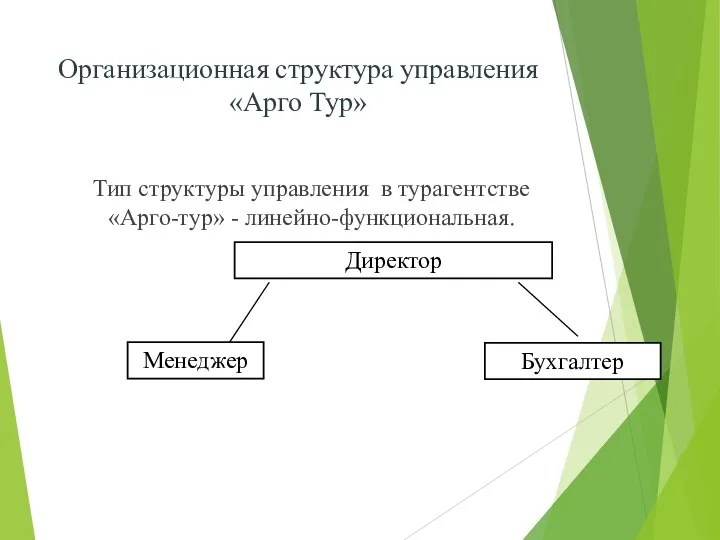 Организационная структура управления «Арго Тур» Тип структуры управления в турагентстве «Арго-тур» - линейно-функциональная. Директор Менеджер Бухгалтер