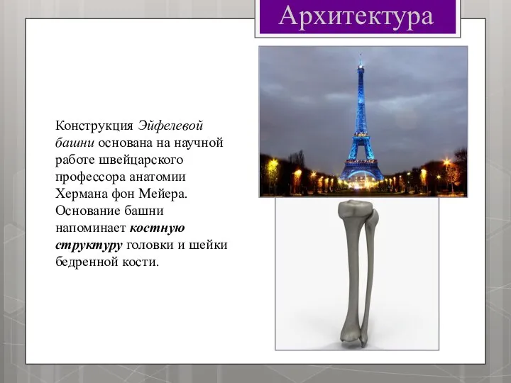 Архитектура Конструкция Эйфелевой башни основана на научной работе швейцарского профессора анатомии