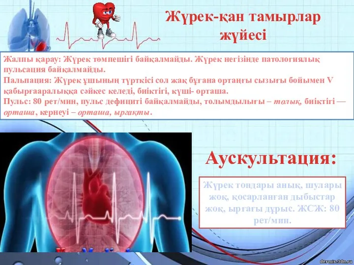 Жүрек-қан тамырлар жүйесі Жалпы қарау: Жүрек төмпешігі байқалмайды. Жүрек негізінде патологиялық