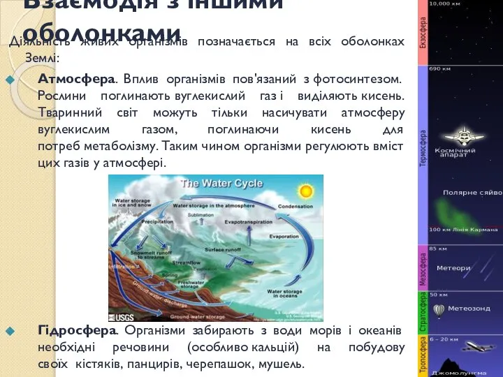 Взаємодія з іншими оболонками Діяльність живих організмів позначається на всіх оболонках