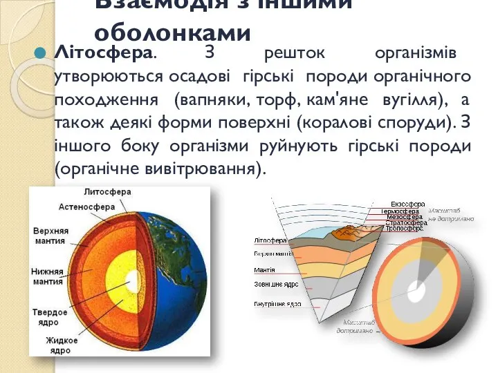 Взаємодія з іншими оболонками Літосфера. З решток організмів утворюються осадові гірські