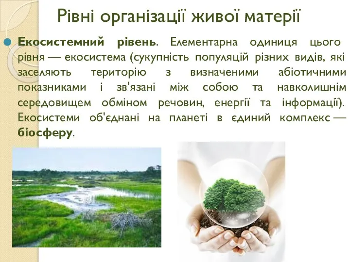 Рівні організації живої матерії Екосистемний рівень. Елементарна одиниця цього рівня —