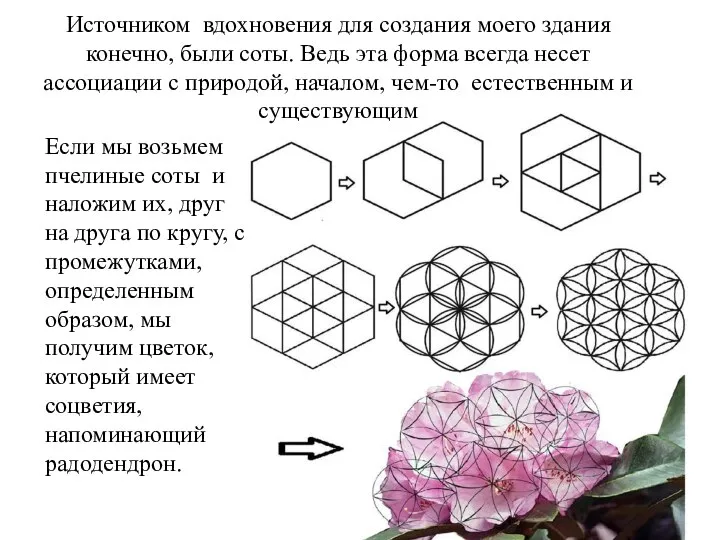 Источником вдохновения для создания моего здания конечно, были соты. Ведь эта