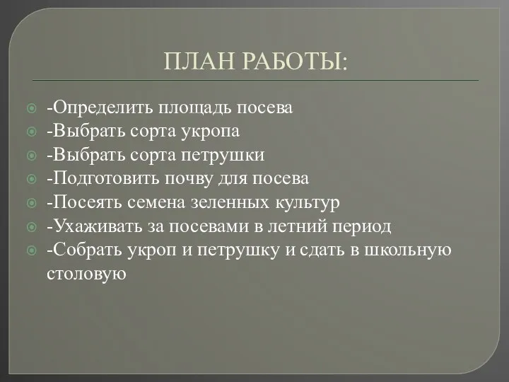 ПЛАН РАБОТЫ: -Определить площадь посева -Выбрать сорта укропа -Выбрать сорта петрушки