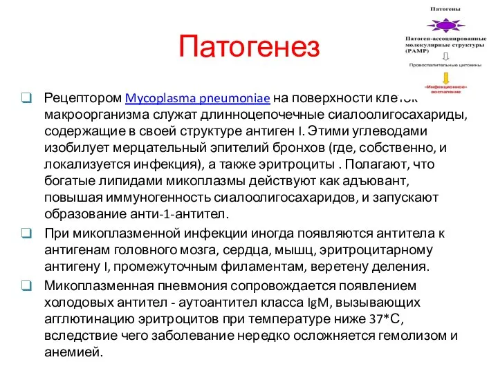 Патогенез Рецептором Mycoplasma pneumoniae на поверхности клеток макроорганизма служат длинноцепочечные сиалоолигосахариды,