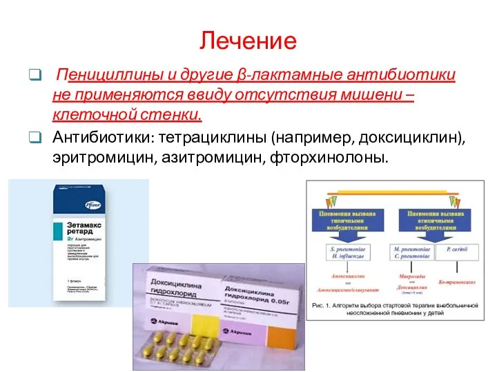 Лечение Пенициллины и другие β-лактамные антибиотики не применяются ввиду отсутствия мишени