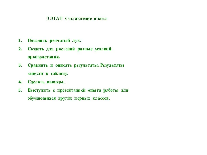 3 ЭТАП Составление плана Посадить репчатый лук. Создать для растений разные